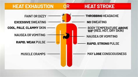 heat stroke vs heat illness